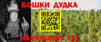 спиды Заводоуковск