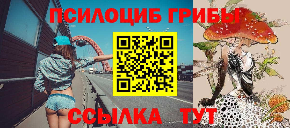 Псилоцибиновые грибы ЛСД Волоколамск