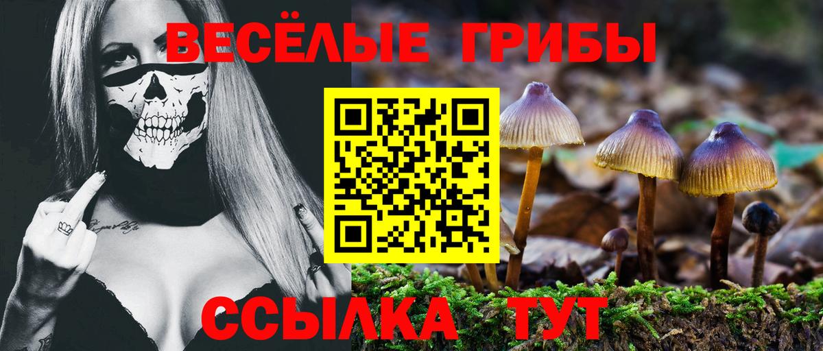 Галлюциногенные грибы Cubensis  купить наркотик  Волоколамск  Вход с VPN  Псилоцибиновые грибы Psilocybine cubensis 